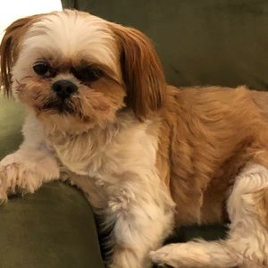 Meet your Posher, Tina